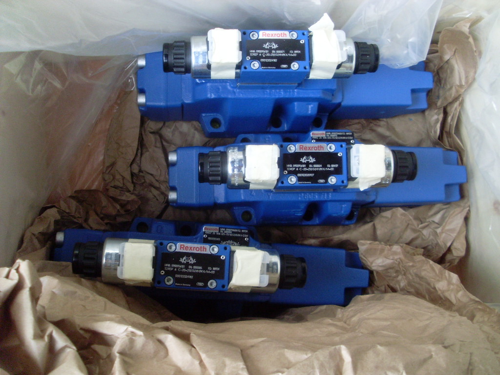 SL374207.JPG
